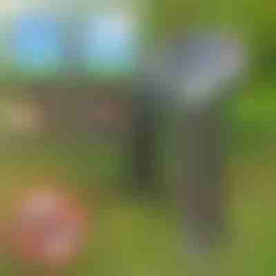 Απωθητικό Παρασίτων Ηλιακής Φόρτισης | SOLGUARD