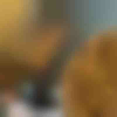 Kλαδιά με Φώτα | BRANCHLUMOS