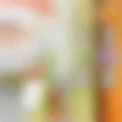 Πολυλειτουργικό κόφτης και ψιλοκόφτης λαχανικών | SLICEWISE