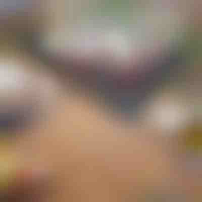 Πτυσσόμενη φορητή ψησταριά μπάρμπεκιου | GRILLOMATE