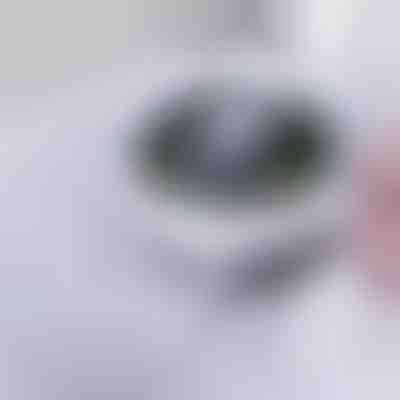 Αναδυόμενο φίλτρο νεροχύτη | DRAINIPRO