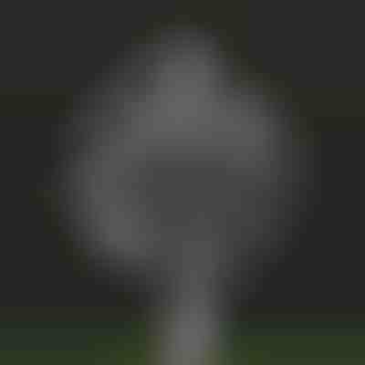 Μαγικός κινητικός ανεμόμυλος κήπου | WINDARA