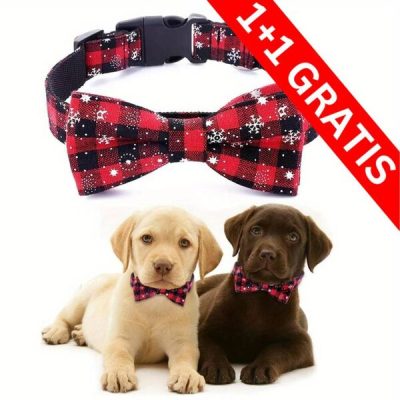 2 x Γιορτινό κολάρο σκύλου με χιονονιφάδες | DOGICOLLAR